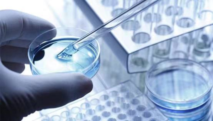 擎科生物 深耕基因合成全產業鏈，賦能生物科技研發創新