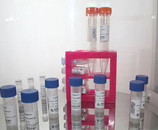 引進美國生物工程前沿技術(shù)，打造高科技生物制品研發(fā)新生態(tài)