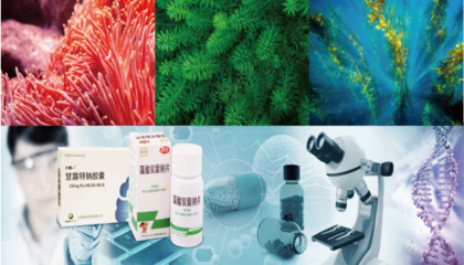 2020海博會(huì) 開啟通往“藍(lán)色藥庫”的生物科技新篇章